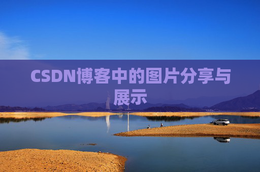 CSDN博客中的图片分享与展示
